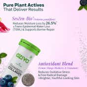 Oziva Phyto Ceramides+ Collagen Builder - Blueberry Flavour (15 Effervscent Tablets)