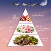 Faces Canada Stay White Moon Light Eau de Parfum Mini for Women (20 ml)