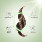 KT Professional Soft Locks Spray with Wheat Protein, Panthenol & Aloe Vera (200 ml)
