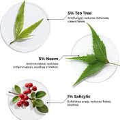 Brillare 5% Tea Tree Hair Oil Shots for Dandruff and Itchy Scalp with 1% Salicylic Acid (48 ml)