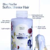 Sacred Grove Blue Pea & Kokum Butter Conditioner (300 ml)