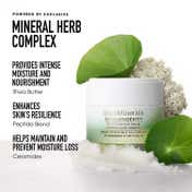 bareMinerals Skinlongevity Butter Drench Cream (50 g)