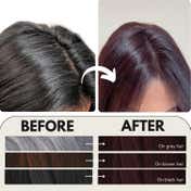 Paradyes Permanent Timeless Hair Tint Cream Color - 3.16 Rich Burgundy (160 g)