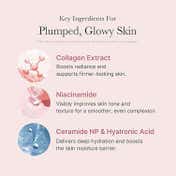 Medicube Collagen Bounce Trio Combo