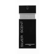 Jacques Bogart Silver Scent Eau de Toilette (100ml)