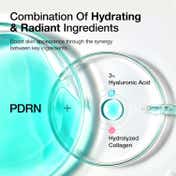 Anua Pdrn Hyaluronic Acid Capsule 100 Serum (30 ml)