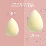 Daily Life Forever52 A Skin-Like Blend Pro Sponge MSP004