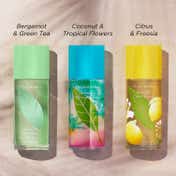 Elizabeth Arden Green Tea Coconut Breeze Eau de Toilette for Women (100 ml)