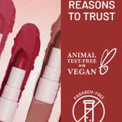 Swiss Beauty Stay All Day Lipstick with Vitamin E & Shea Butter - 7 Sassy (4 g)