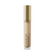 Colorbar Crystal Glow Serum Concealer - SCC 1.1 (6.2 ml)