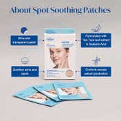 The Face Shop Dr.Belmeur Clarifying Spot Soothing Patches- Korean, Salicylic Acid for Pimples (1pc)