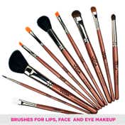 Vega Makeup Brush Set with Black Leather Case Set of 10 (LK-10) (316 g)