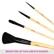 Vega Make Up Brush Set of 4 (EVS-4) (35 g)