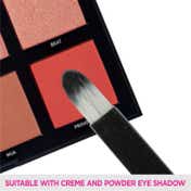 Vega Eye Brush for Blend Eye Shadow Perfect Finish Eye Makeup Brush (MBP-06) (5 g)