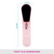 Vega Pumice Stone (PD-09)