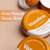 Vaseline Cocoa Butter Lip Therapy (17 g)