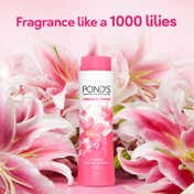 Pond's Dreamflower Fragrant Pink Lily Talc Powder - (400g)
