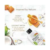 Pears Naturale Brightening Pomegranate (250ml) & Nourishing Coconut Water (250ml) Bodywash Combo