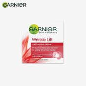 Garnier Skin Naturals Wrinkle Lift Anti-Ageing Cream (40g)