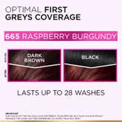 Casting Creme Gloss Hair Color 665 Raspberry (87.5 g + 72 ml)