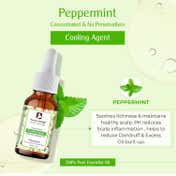Passion Indulge Anti-Irritant Peppermint Essential Oil (10 ml)