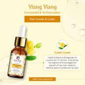 Passion Indulge Sebum Balancer Ylang Ylang Essential Oil (10 ml)