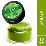 Vaadi Herbals Mint Lip Balm (10 g)