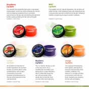 Vaadi Herbals Mint Lip Balm (10 g)