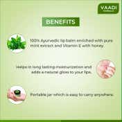 Vaadi Herbals Mint Lip Balm (10 g)