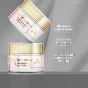 VLCC Eternal Youth Skin Firming Night Cream (50g)