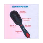 Babila Compact Cushioned Brush - HBC-V12