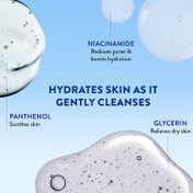 Cetaphil Gentle Skin Cleanser (250 ml)