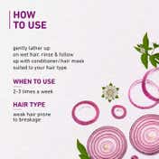Plum Onion And Biotin Shampoo (250ml)
