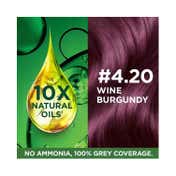 Garnier Color Naturals Creme Riche Hair Color - 4.20 Wine Burgundy (70ml+60g)