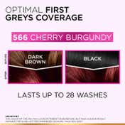 L'Oreal Paris Casting Creme Gloss Ultra Visible Hair Color - Cherry Burgundy 566 (100g + 60ml)