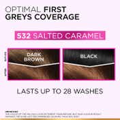 L'Oreal Paris Casting Creme Gloss Ultra Visible Hair Color - Salted Caramel 532 (100g + 60ml)