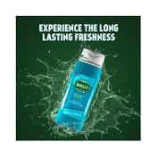 Brut Sport Style All-In-One Hair and Body Shower Gel (500 ml) (Pack Of 2) Combo