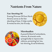 Wellbeing Nutrition Slow Skin Hair and Nails Capsule for Men & Women (60 Capsules)