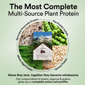 Wellbeing Nutrition Organic Vegan Protein Isolate 3B CFU Probiotics Belgian Dark Chocolate (500 g)