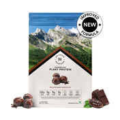 Wellbeing Nutrition Organic Vegan Protein Isolate 3B CFU Probiotics Belgian Dark Chocolate (500 g)