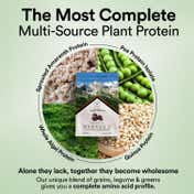 Wellbeing Nutrition Superfood Plant Protein Powder Dark Chocolate Hazelnut (500 g) - Pack of 3 Combo