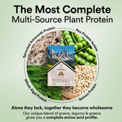 Wellbeing Nutrition Organic Vegan Protein Isolate 3B CFU Probiotics French Vanilla Caramel (500 g)