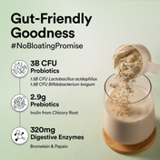 Wellbeing Nutrition Organic Vegan Protein Isolate 3B CFU Probiotics French Vanilla Caramel (500 g)