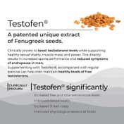 Wellbeing Nutrition Plant Based Melts into Testo Power Oral Strips - Cool Mint 30's Pack of 2 Combo