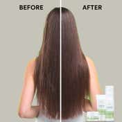 Wella Professionals Elements Renewing Sulphate Free Shampoo for Frizz-Free Hair (250 ml)