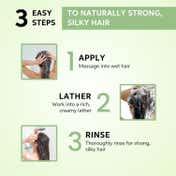 Wella Professionals Elements Renewing Sulphate Free Shampoo for Frizz-Free Hair (250 ml)
