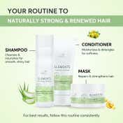 Wella Professionals Elements Renewing Sulphate Free Shampoo for Frizz-Free Hair (250 ml)