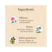 Just Herbs Javakusum Anti Dandruff & Hairfall Control Hair Oil (100ml)