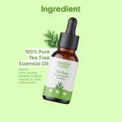 Aravi Organic Tea Tree Essential Oil (15ml)
