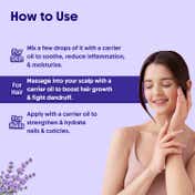 Aravi Organic Lavender Essential Oil (15ml)